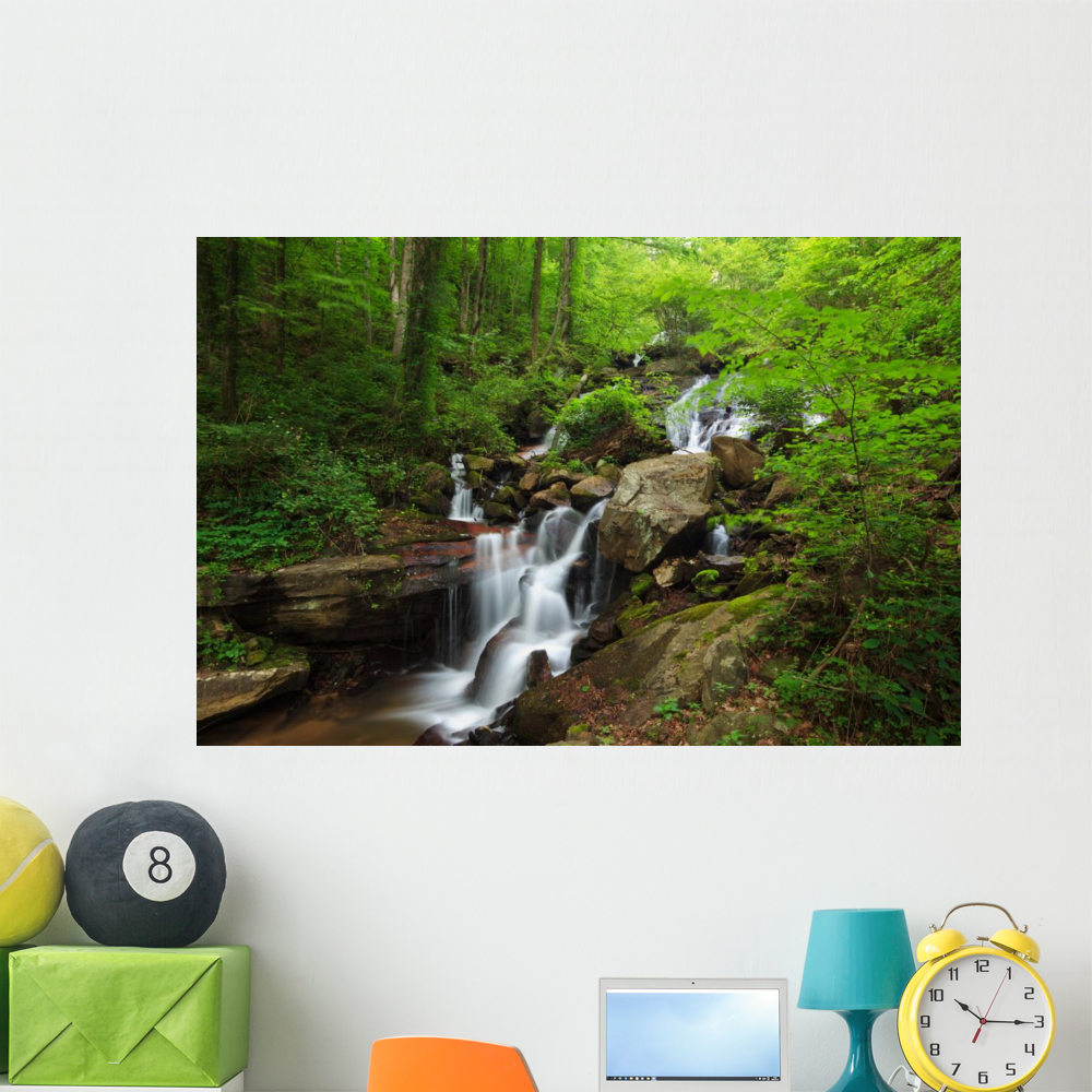 Amicalola Waterfall Wall Mural by Wallmonkeys Peel and Stick Graphic ...