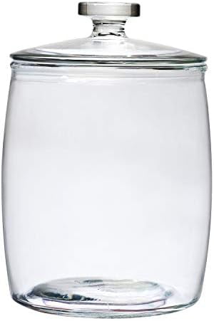 Amici Home Arlo Glass Canister | Food Storage Container with Airtight ...