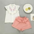 thumbnail image 1 of Amidoa Girls 2 Piece Outfits Summer Clothes Soft Short Sleeve T Shirts and Casual Shorts Kids Clothing Sets Pink Size 4T, 1 of 9