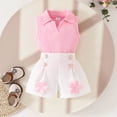 thumbnail image 1 of Amidoa Girls 2 Piece Outfits Summer Clothes Solid Color Cute T-Shirts Short Sleeve and Casual Shorts Kids Clothing Set Pink Size 12, 1 of 9