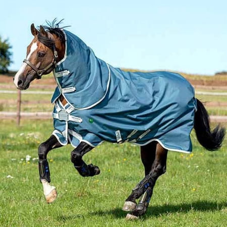Amigo AmECO 12 Plus Turnout Blanket (100g Medium-Lite, 0g Hood), Teal (Grey Trim), Size: 69