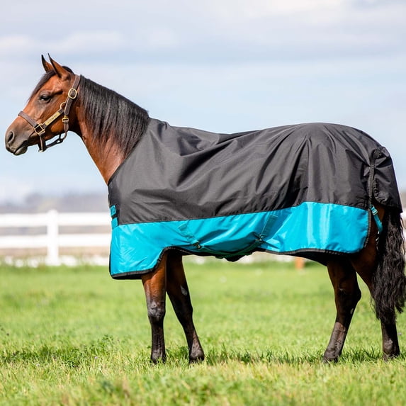 Amigo Mio Turnout, Medium Weight Size: 78 in Color: Black/Turquoise