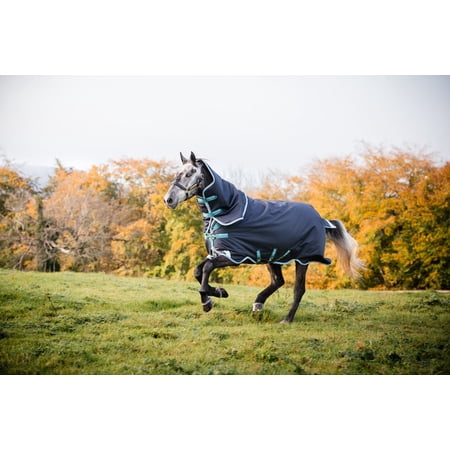 Amigo Bravo 12 Plus Turnout Blanket (250g Medium, 150g Hood), Navy (Aqua/Turquoise Trim), Size: 66