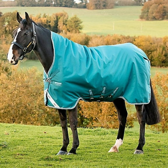 Amigo Bravo 12 Wug Medium Blanket 72 Storm Green