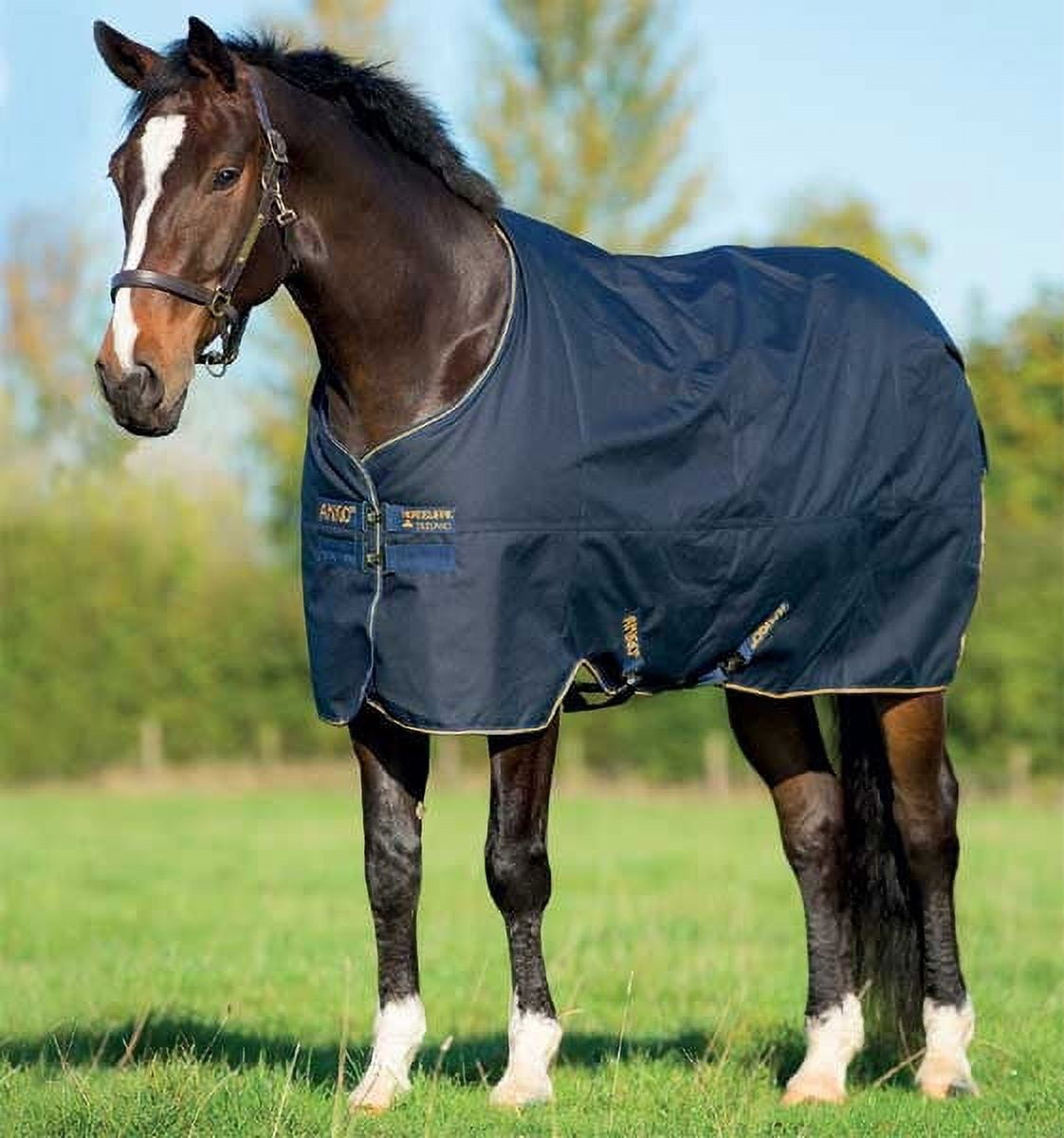Amigo Bravo 12 XL Original Turnout Blanket (250g Medium), Navy (Gold