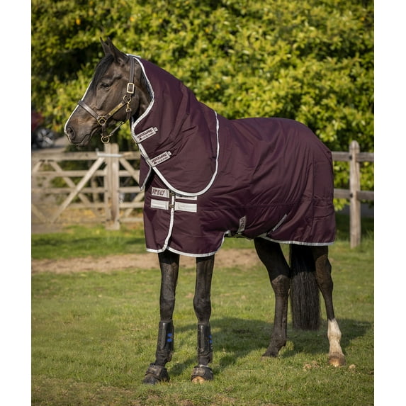 Amigo Hero Ripstop Plus Turnout Blanket, Medium, Fig/Silver Size: 75 in