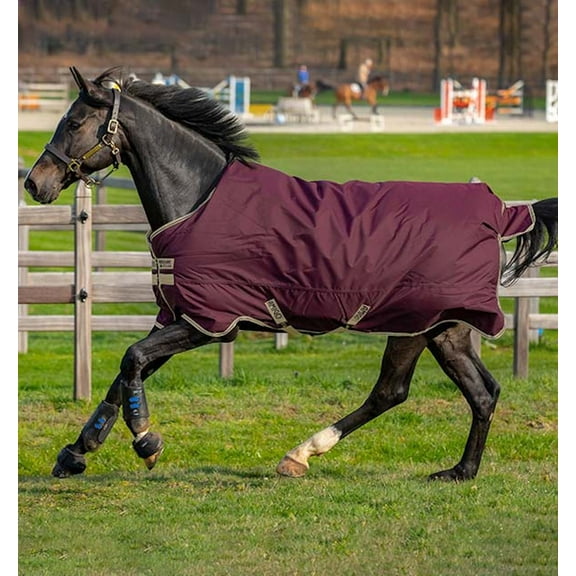 Amigo® Hero Ripstop Turnout (0g Lite) (Fig/Navy & Tan, 66")