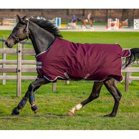 Amigo Hero Ripstop Turnout Blanket (50g Medium-Lite), Fig (Silver Trim), Size: 72