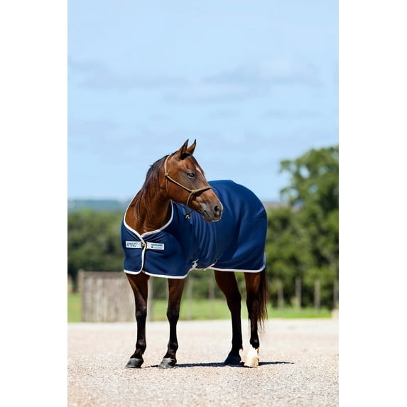 Amigo Jersey Cooler 81 Burgundy Fig/Navy