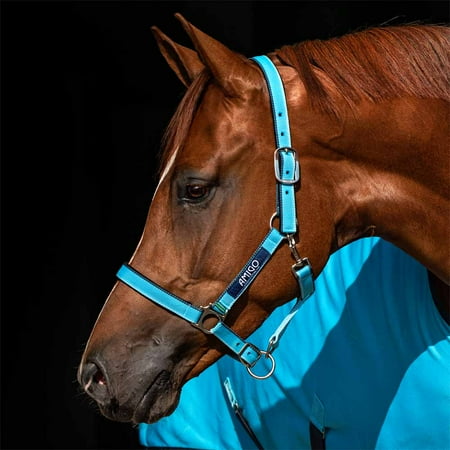 Amigo Padded Nylon Halter, Delphinium Blue (Navy Trim), Size: Horse