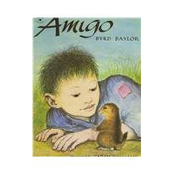 Pre-Owned Amigo (Paperback) 0812474236 9780812474237