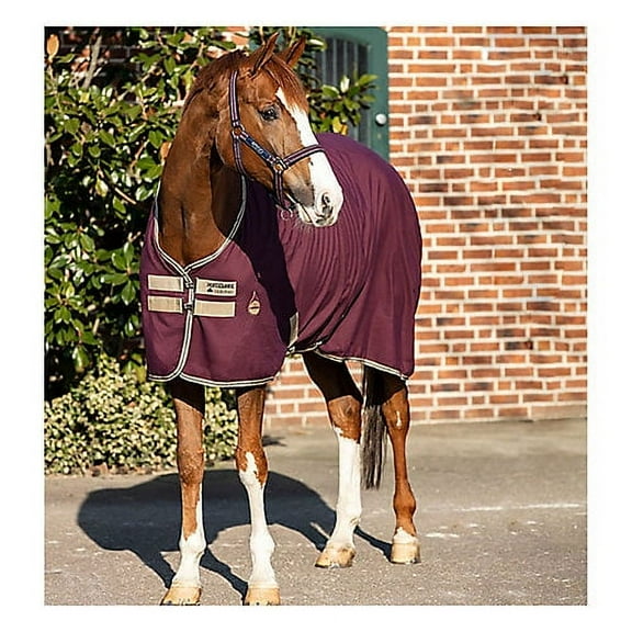 Amigo Stable Sheet 72 Burgundy Fig/Navy