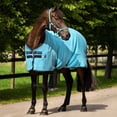 thumbnail image 1 of Amigo Stable Sheet, 1 of 3