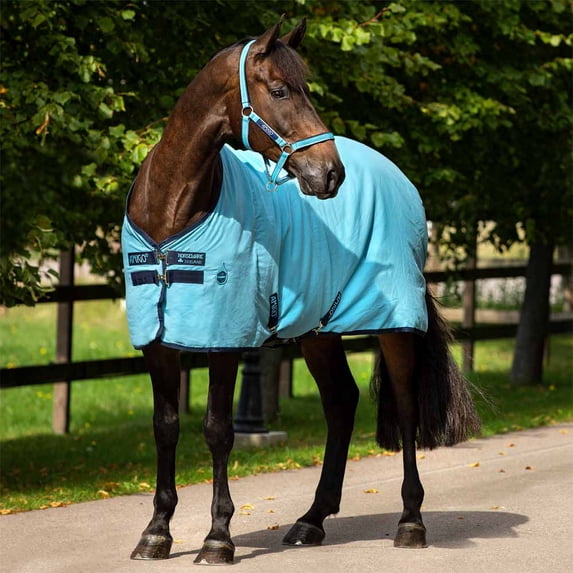Amigo Stable Sheet