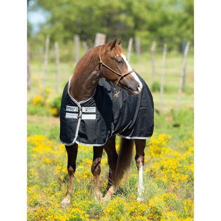 Amigo Stock Horse Turnout Sheet 82