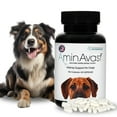 AminAvast Dog Kidney Supplement STF9 Supports Natural Kidney Function