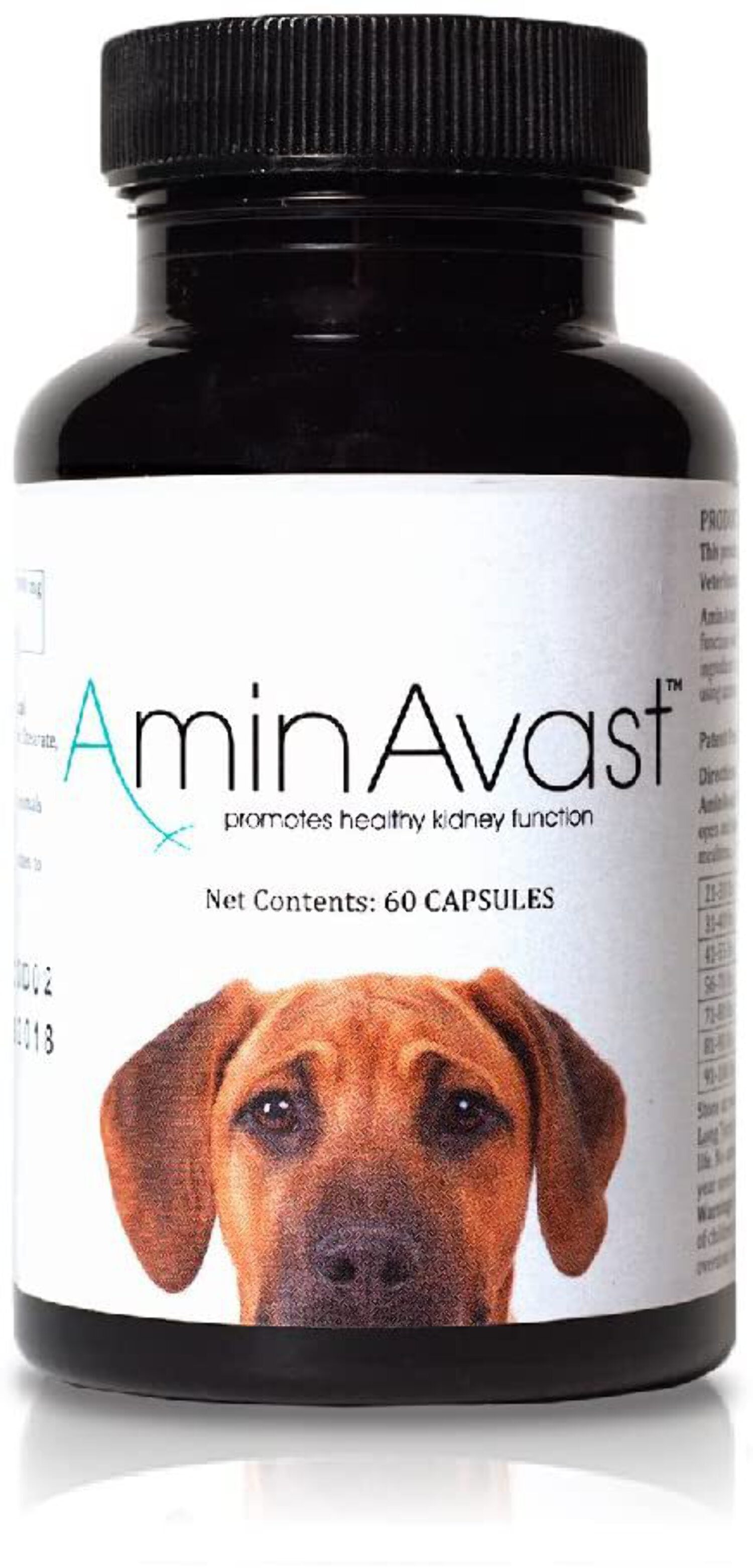 AminAvast Healthy Kidney Function for Cats and Dogs 60 Capsules 1000mg ...