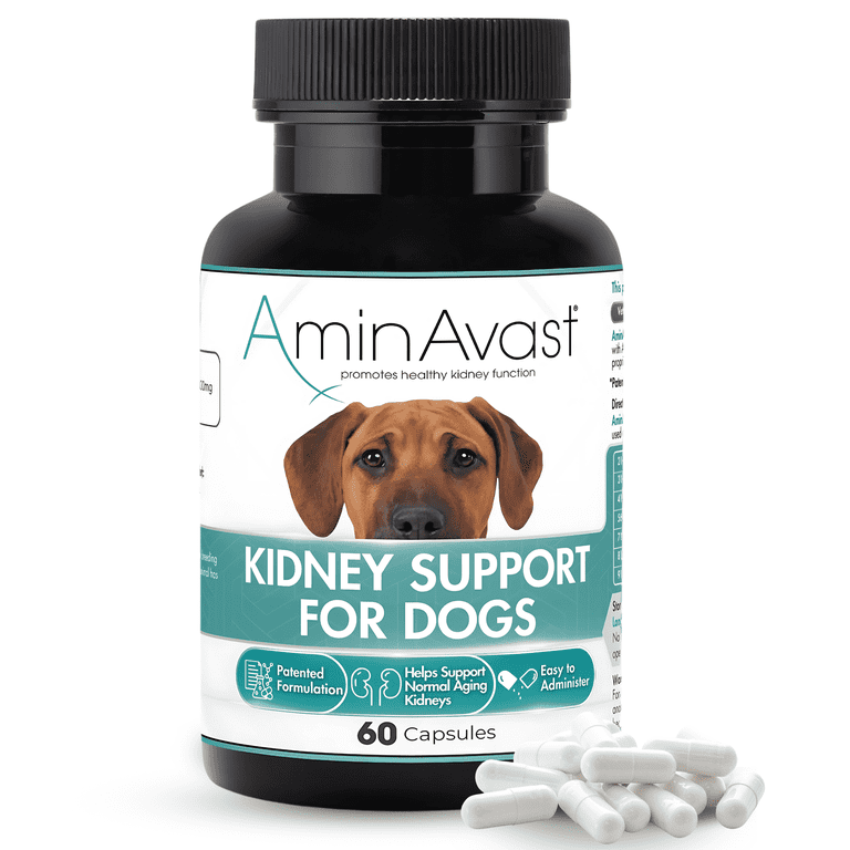 AminAvast, Healthy Kidney Support for Dogs, 60 Capsules, 1000mg