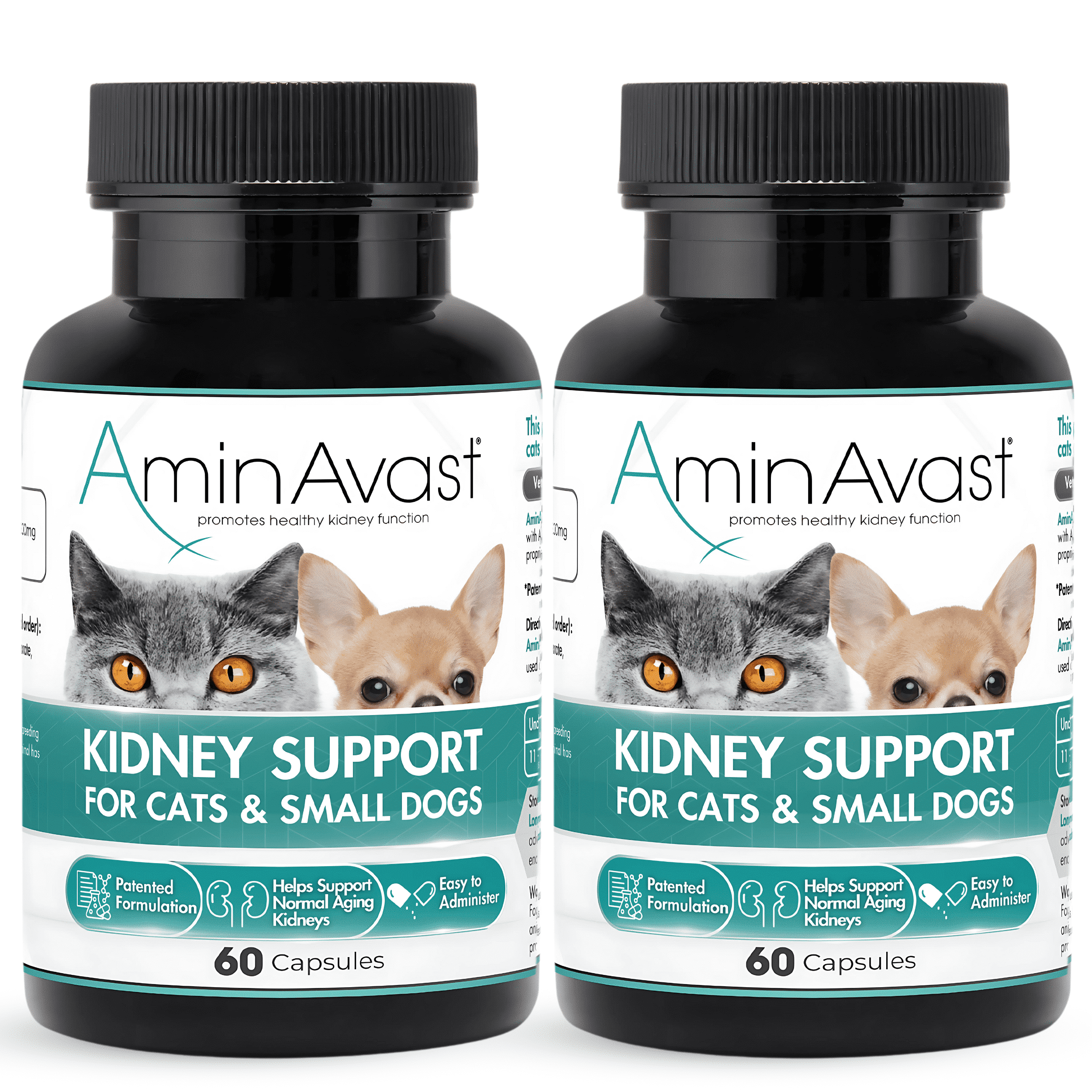 AminAvast 健康サポートサプリメント 60カプセル AminAvast Kidney Support Supplement for Cats and Small Dogs, 300mg
