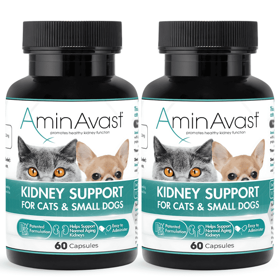 AminAvast Kidney Support Supplement for Cats and Small Dogs, 300mg, 60 Capsules, 2-Pack