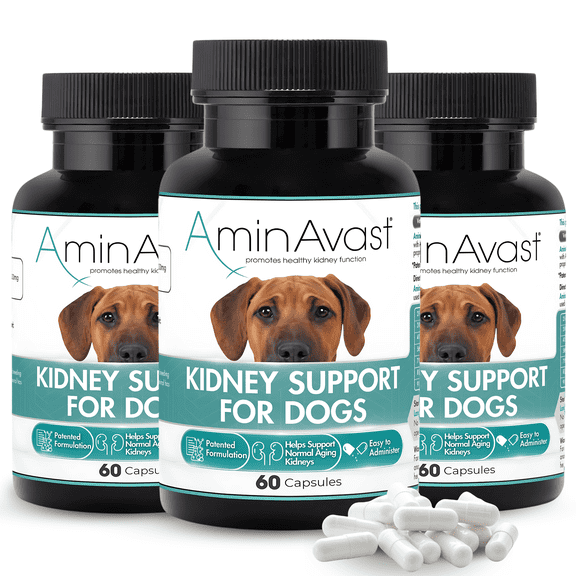 AminAvast Kidney Support Supplement for Dogs, 1000mg, 60 Capsules, 3-Pack