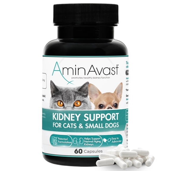AminAvast Kidney Support for Cats & Small Dogs, 300mg, 60 Capsules