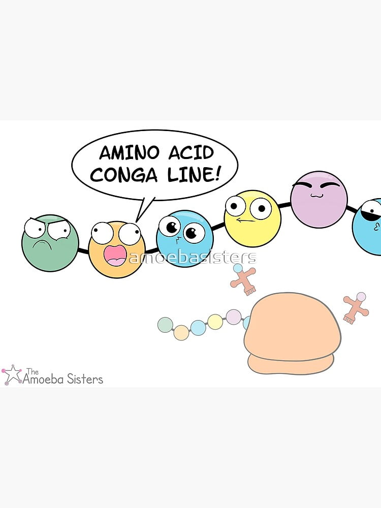 Amino Acid Conga Line Poster Framedunframed