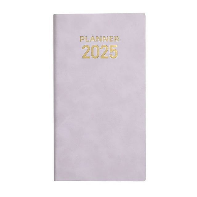 Aminojy 2025 Daily Planner, Daily Hourly Schedule Book, 365-Day Academic Planner Pocket Notebook English Edition Multi-Function Planner Organizer Household Office Dowling Paper Notes Walmart Deals