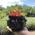 thumbnail image 1 of Aminojy Garden Planters for Outdoor Plants Multi Face Succulent Planter Vase Small Face Plante Head Face Vase Home Decoration Succulent Cactus Indoor Pot, 1 of 6