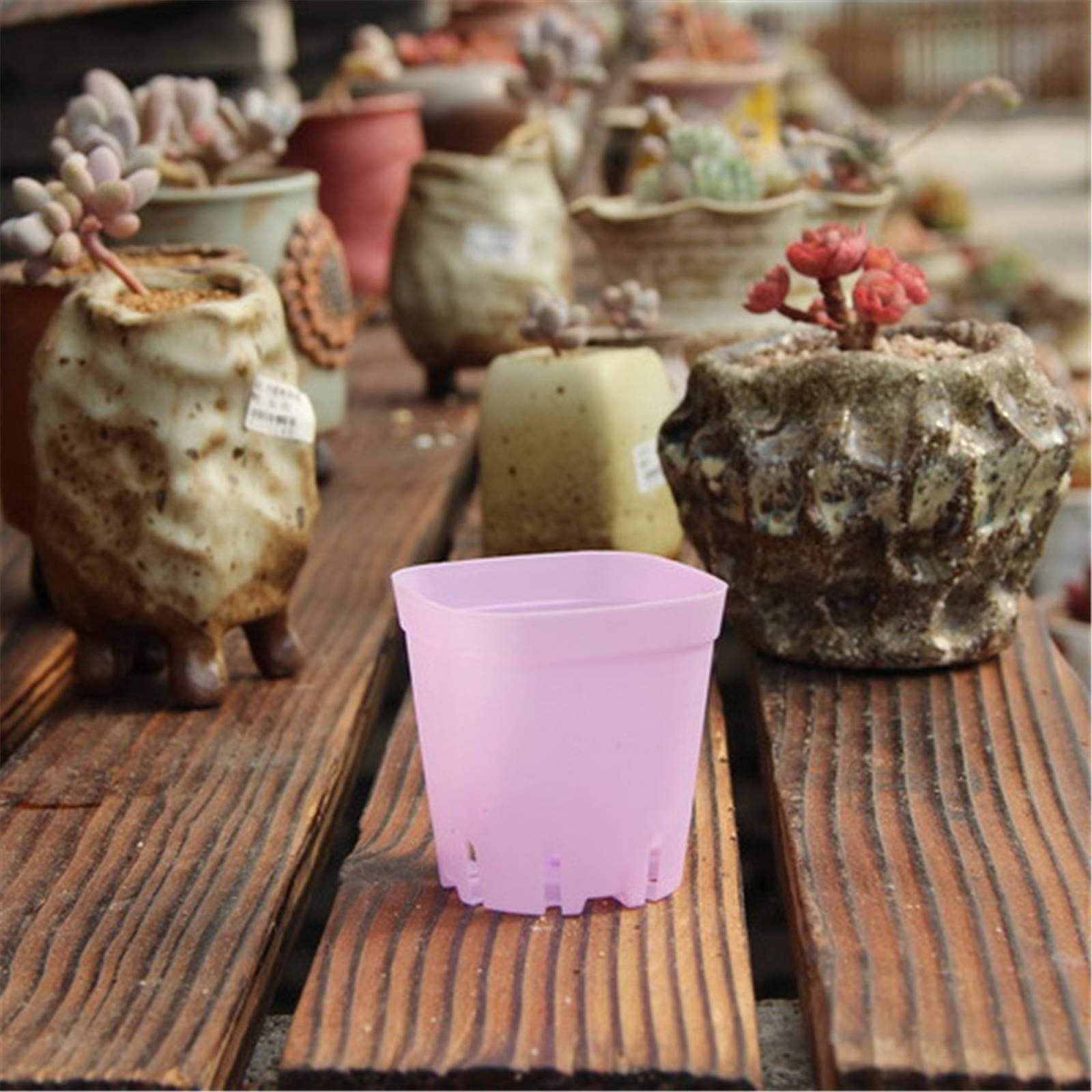 Aminojy Nursery Pots 10 Pack 2.55Inch Multi Color Square Plastic Plant ...
