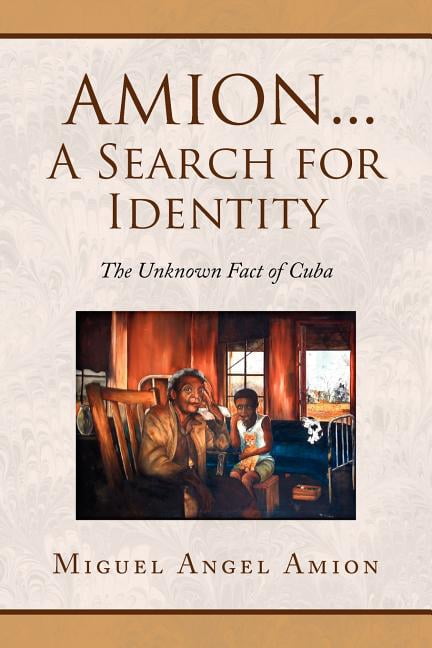 Amion Example Amion...a Search for Identity (Paperback) - Walmart.com