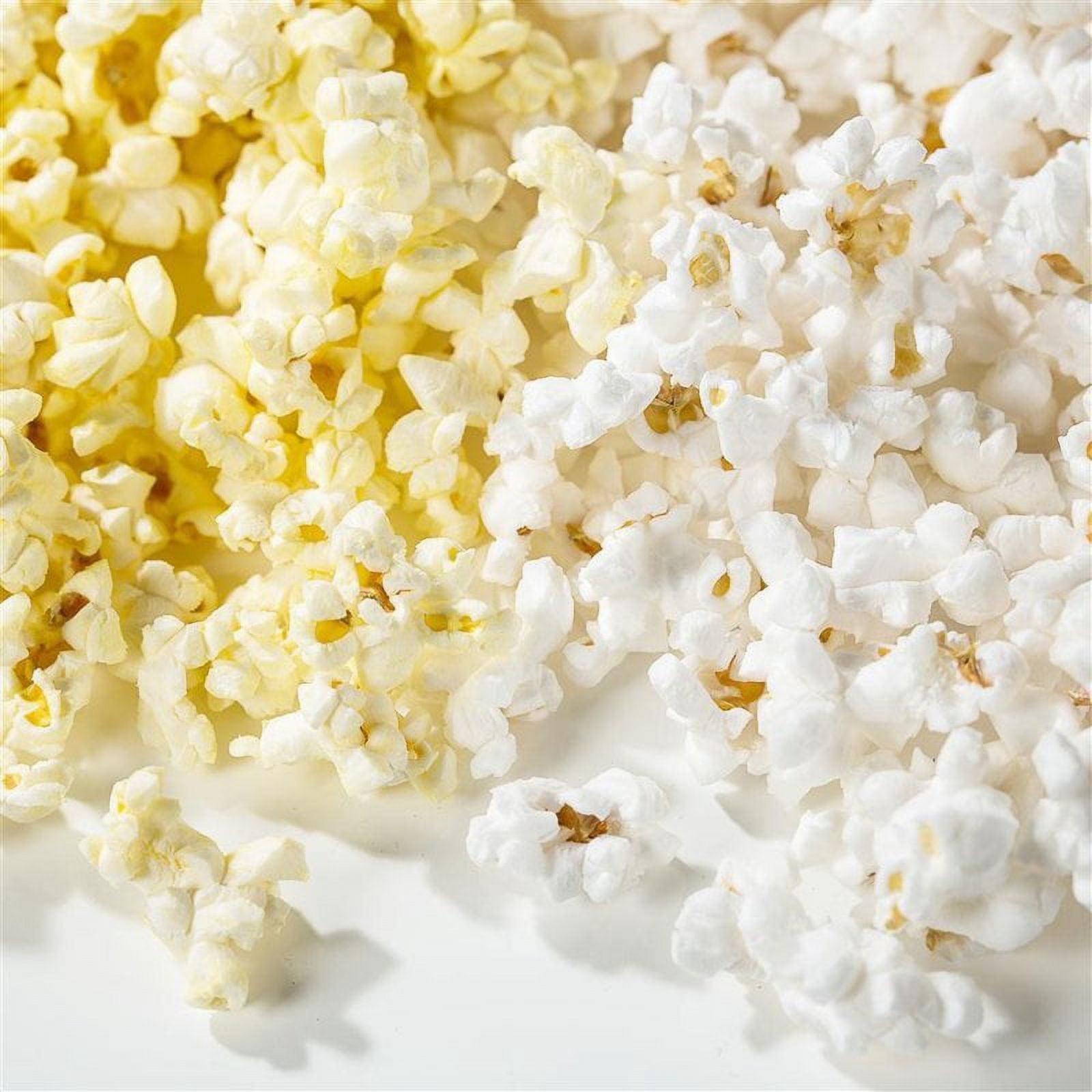 Solmazer Herevin 2.3 Lt Popcorn and Chips Bowl-Popcorn, White