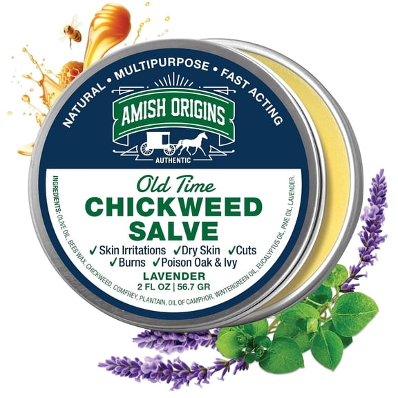 Amish Origins Old Time Chickweed Salve 2 fl oz Natural Skin Salve with Olive Oil & Beeswax Moisturizing Skin Care Balm