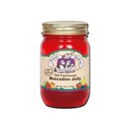 Amish Wedding Foods Muscadine Grape Jelly, 2-Pack 18 oz. Glass Jars