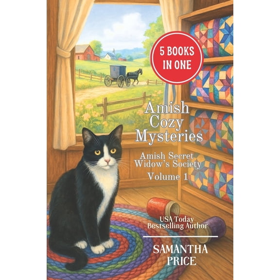 Pre-Owned Amish Widow Mysteries Boxed Set Amish Cozy Mysteries: 5 Books-in-1: The Amish Widow, Hidden, Accused, Amish Regrets, Amish House of Secrets, Book 1, (Paperback)