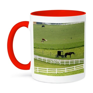 3dRose, Amish farm with horse buggy near Berlin, Ohio - US36 DFR0008 - David R. Frazier, 11oz Two-Tone Red Mug
