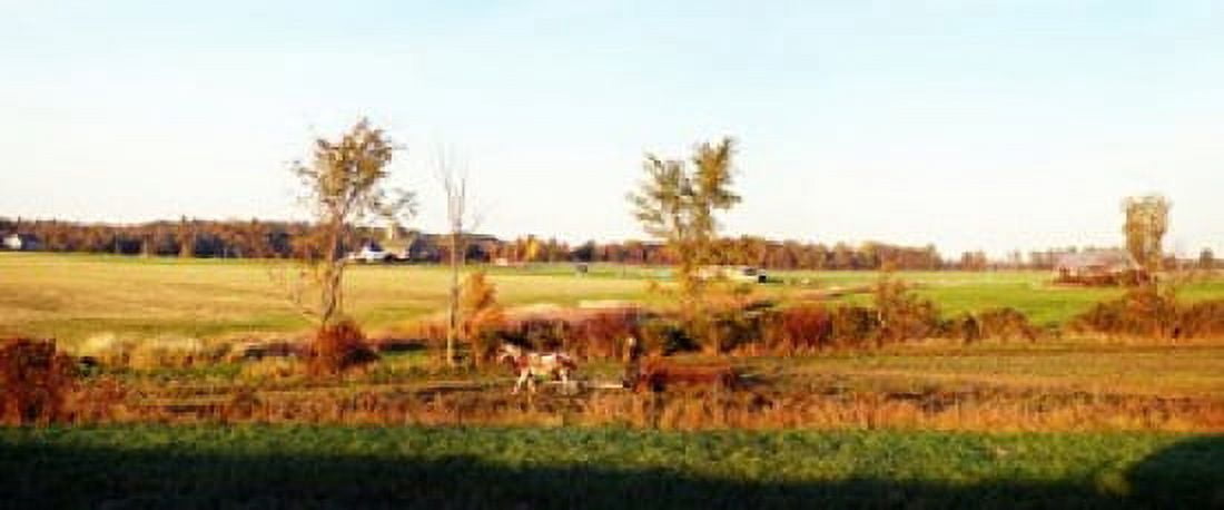 Amish farmer plowing a field USA Canvas Art - Panoramic Images (30 x 13)