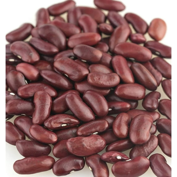 AmishTastes Organic Dark Red Kidney Beans In Bulk Paper Bag, 25 Lb.