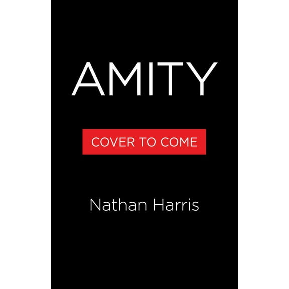 Amity: A Novel (Hardcover)