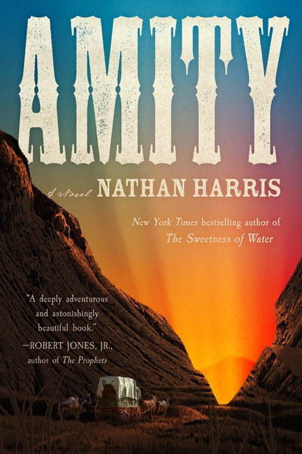 Amity, (Paperback)