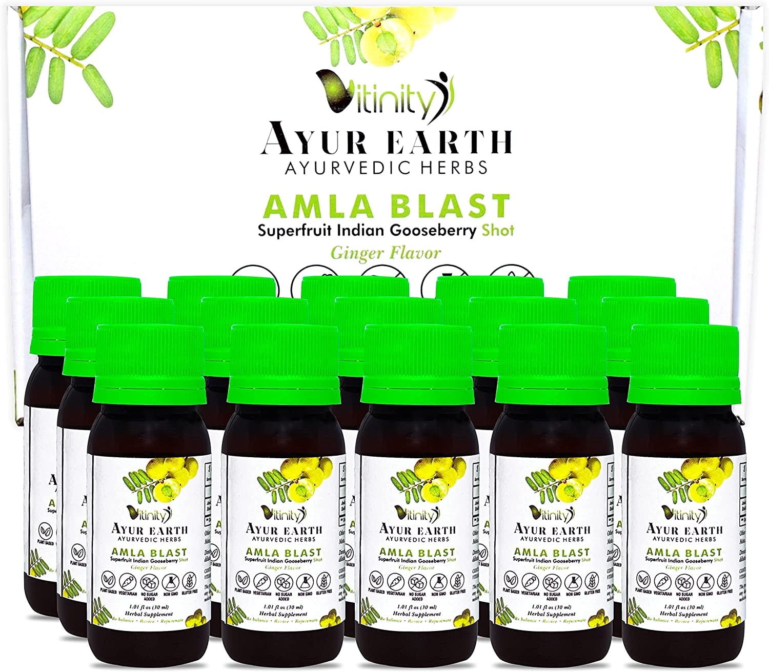 Amla Superfood Shot - AYUR EARTH - Ayurvedic Hair, Skin, Nail Health - Boost Immune System - Amla Powder Replacement - Indian Gooseberry (Alma Fruit) Organic Powdered Extract - Source of Vitamin C