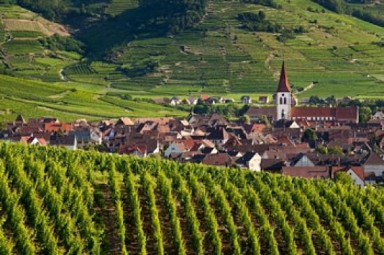Ammerschwihr Vineyards Alsace Canvas Art - Brian Jannsen DanitaDelimont (27 x 18)