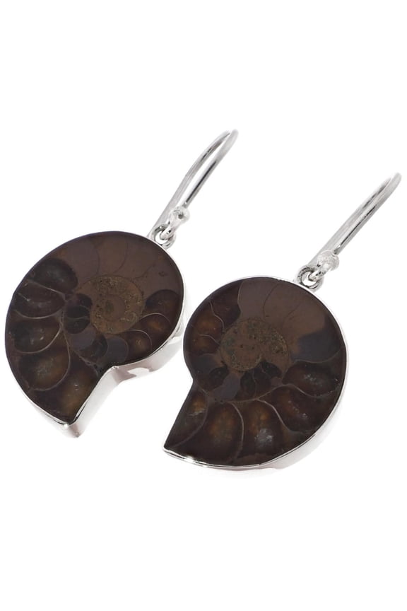 Ammonite Fossil 925 Sterling Silver Earrings, 15/16"