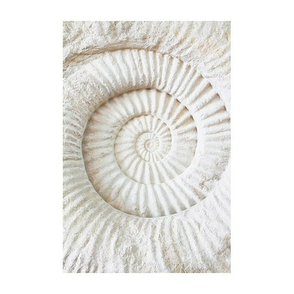 Ammonite Fossil Print Wall Art, Modern Wall Decor For Living Room Bedroom, 24x36 UNFRAMED
