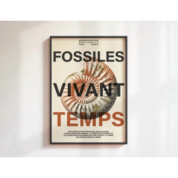 Ammonite Fossil Wall Art French Museum Home Decor Unframed Paper Print