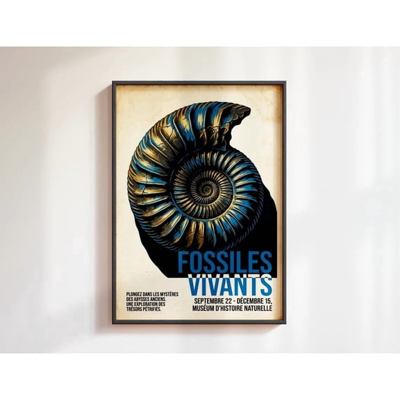 Ammonite Fossil Wall Art Natural History Home Decor Unframed Paper Print