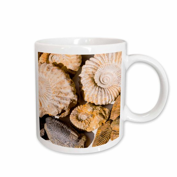 3drose, Ammonite Fossils for Sale in the Souk, Medina, Marrakech, Morocco., 15oz Mug