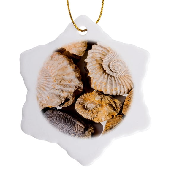 3drose, Ammonite Fossils for Sale in the Souk, Medina, Marrakech, Morocco., 3 inch Snowflake Porcelain Ornament