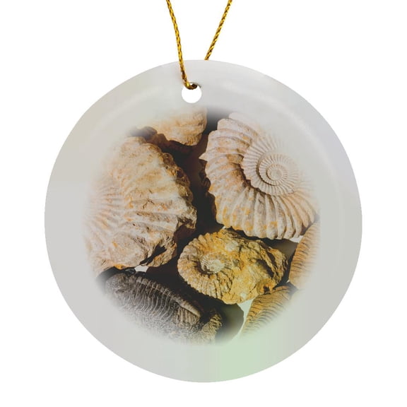 3drose, Ammonite Fossils for Sale in the Souk, Medina, Marrakech, Morocco., Circle Porcelain Ornament