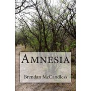 Amnesia (Paperback)
